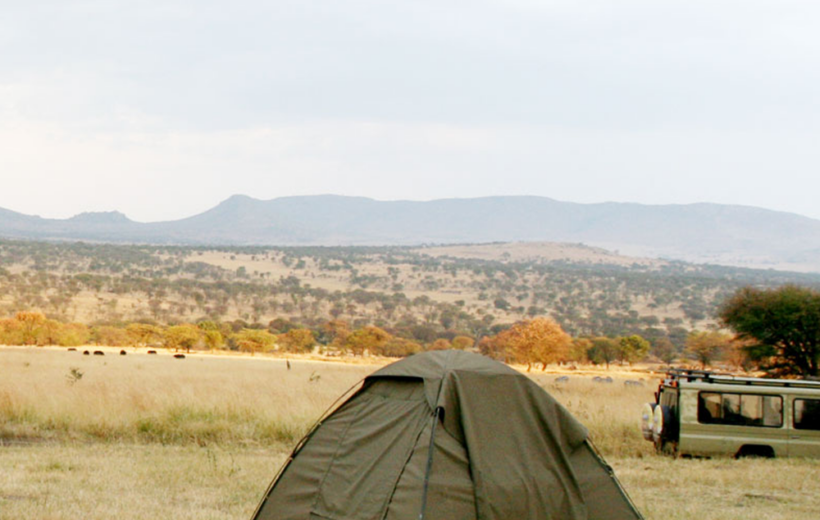 7 Days Masai Mara Budget Camping Safari Group Joining